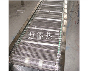 新乡链网输送机