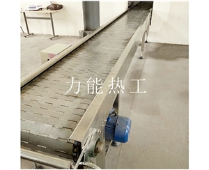 新乡链板输送机